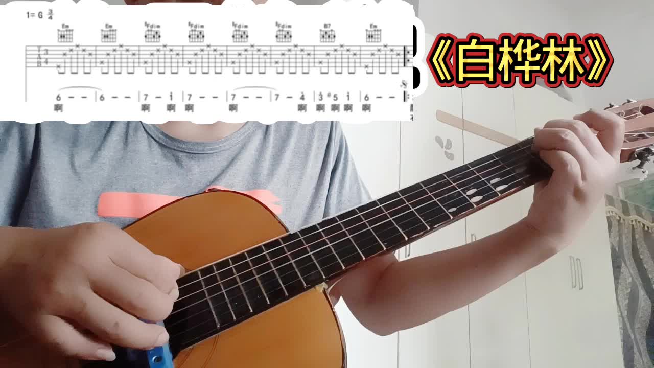 单曲速成：《白桦林》白桦林视频缩略图