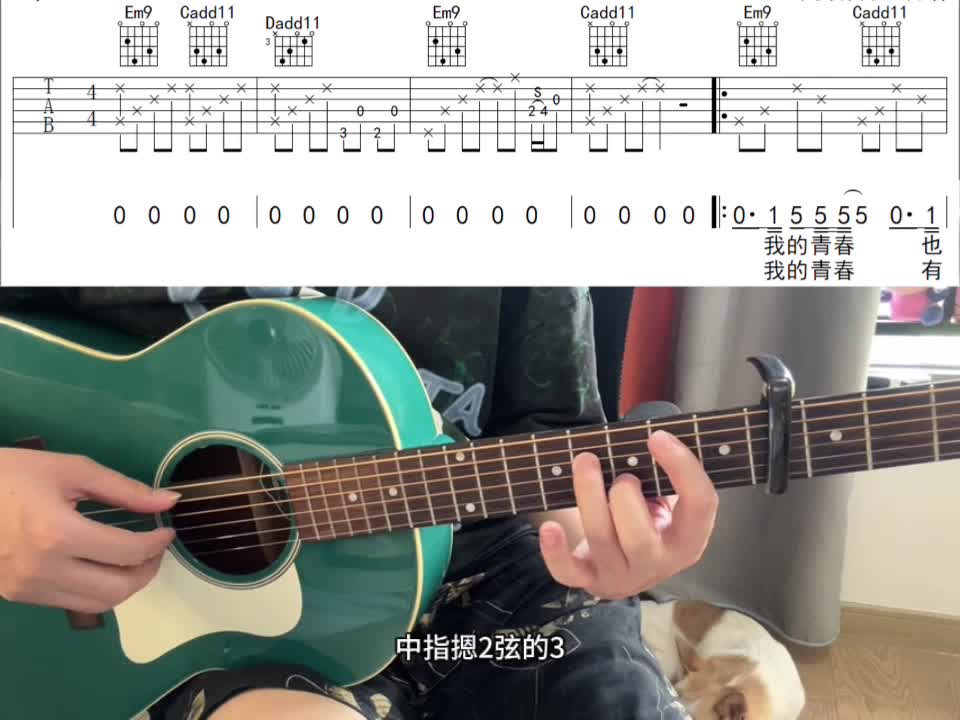 单曲速成：《达尔文》达尔文 附谱教学视频缩略图